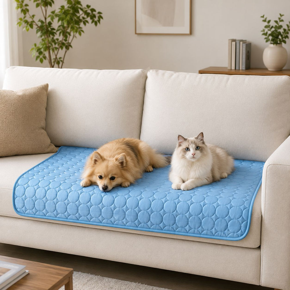 Blue ice-silk pet cooling mat on a sofa with a dog and cat resting on it