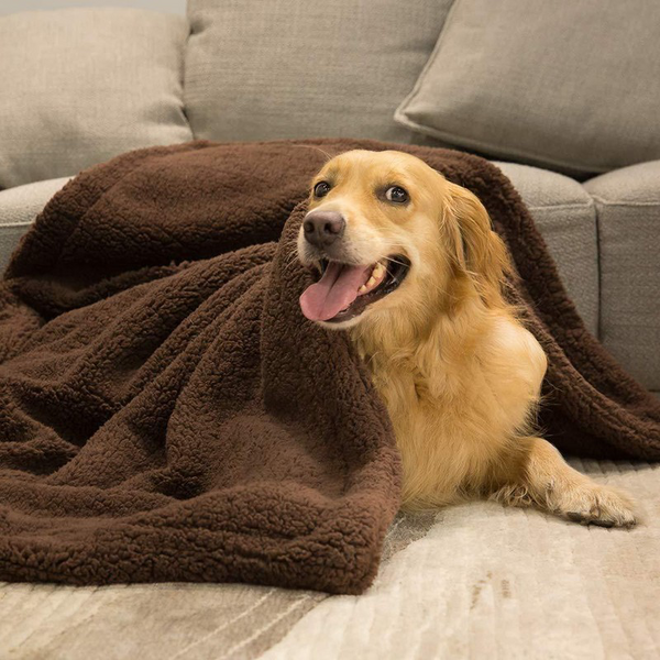 Comfort